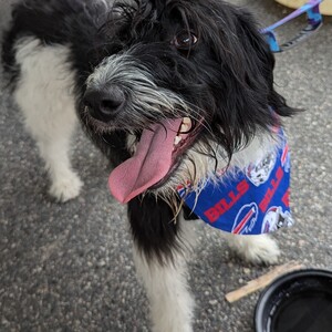 Fundraising Page: Kate Spiesberger